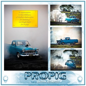 propigCompSml
