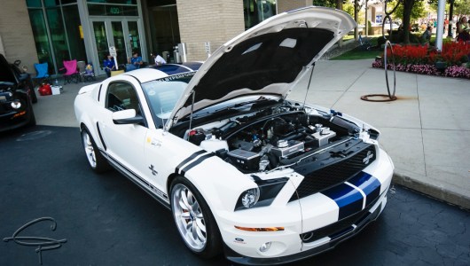 2008 Shelby Cobra GT500KR, mustang alley