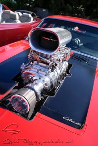 blowers, ford blowers, mustangs with blowers