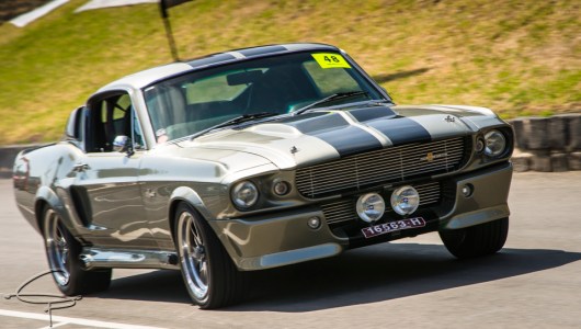 elenor, mustang, silver mustang