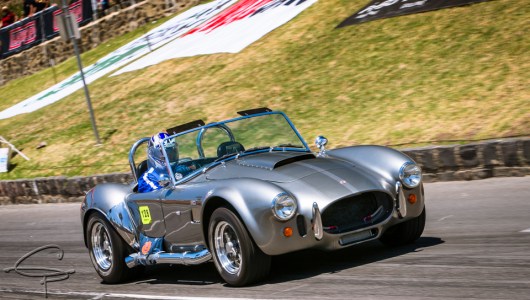 ac cobra, silver cobras