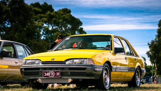 vl commodores, holden commodores, yellow cars