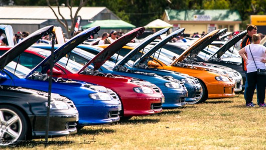 commodore car show, all holden day