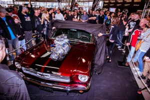 Freestyle Rides Inauguration 